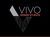 ViVo Design Studios Logotype