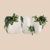 WE LIKE YOU Logotype