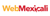 Web Mexicali Logotype