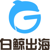 BelugaGlobal Logotype