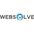 Websolve Marketing Logotype