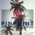 PinPoint Local San Fernando Valley Logotype