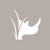 White Rhino Logotype