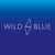Wild Blue Digital Logotype