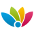 Winfy Software Logotype