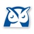 Wise Agent Logotype