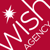 Wish Agency Logotype