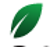 Wordfresh Design Logotype