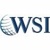 WSI - MaxNet Solutions Inc. Logotype