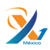X1 Mexico Logotype
