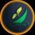 Youth Fire IT Logotype
