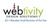 Webtivity Design Solutions Logotype